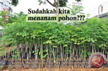 Kulon Progo akan tanam satu juta pohon 