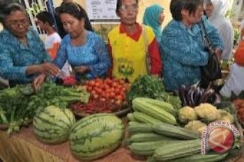BI Tekan Inflasi Dengan Pemberdayaan Pekarangan Rumah 
