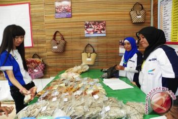 Dana PNPM mandiri pedesaan  2013 menurun 