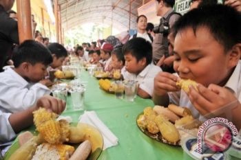 Jagung Berkontribusi Pada Ketersediaan Protein Di Dunia