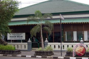 Yogyakarta akan gelar Festival Museum 2013 