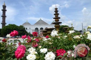 Puluhan ribu jenis tanaman berbunga potensi wisata