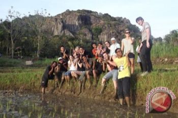 Nglanggeran manfaatkan dana desa untuk kemakmuran desa