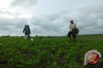 Masyarakat pesisir Kulon Progo dapat bantuan PDPT