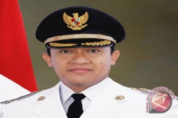 Bupati Akui Masih Ada Masyarakat Bakar Lahan 