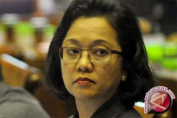 Indonesia mampu surplus 10 juta ton beras 