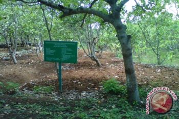 Desa wisata Karangtengah peroleh penghargaan dari Kemparekraf