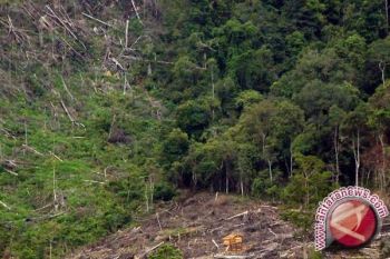 Wonogiri padukan manfaat ekonomi-ekologi hutan rakyat