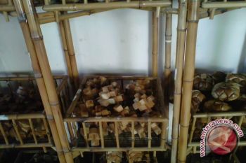 UKM kerajinan puzel terkendala tenaga kerja terampil