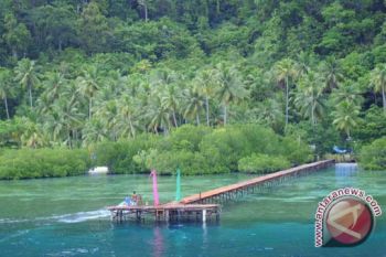 DPR desak pemerintah bangun Raja Ampat