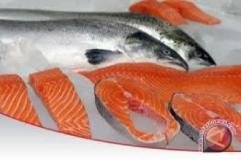 Norwegia jajaki pasar salmon di Indonesia 