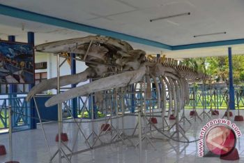 Museum Sultra Jadi "Pelarian" Instansi Untuk Berkantor
