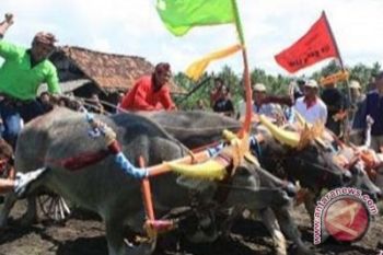 "Makepung" diusulkan sebagai warisan budaya dunia
