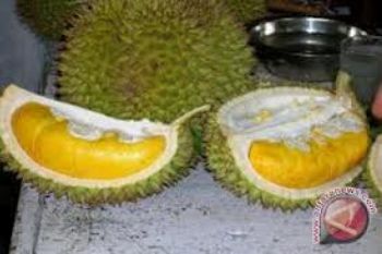Durian Tarmin Jepara Peroleh Sertifikat PVT