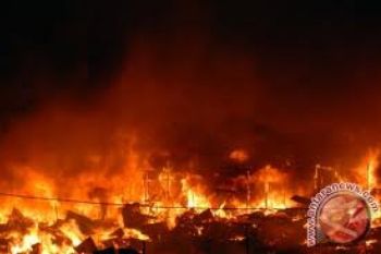 Pabrik Kayu Lapis Terbakar