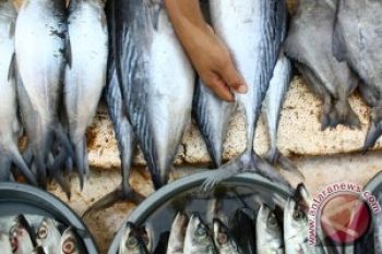 Belasan Ton Ikan Asal China Banjiri Kota Pekalongan