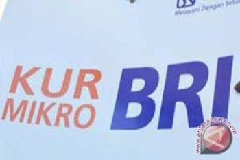 BRI Kudus Salurkan KUR Rp61,90 Miliar