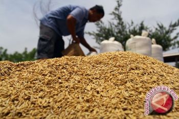 Warga mendirikan koperasi untuk menyerap panen petani