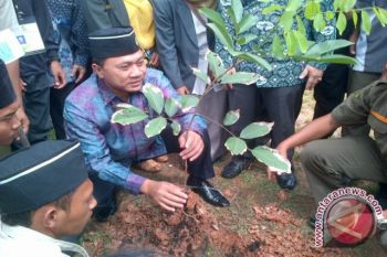 Menhut buka Festival Sarongge
