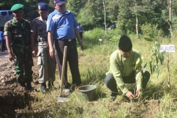 Pemkot Padangpanjang Tanam 1.500 Bibit Pohon