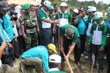 Pemkab Agam Tanam 3,5 Juta Pohon