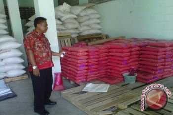 Pemerintah diharapkan hapus subsidi benih padi impor