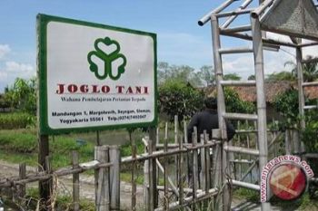 Joglo Tani didik yatim piatu jadi petani