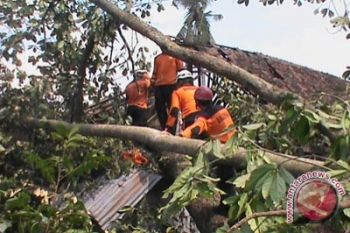 Korban puting beliung masih butuh relawan 