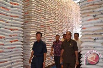 Bulog Kolaka Serap 8.000 Ton Beras Petani