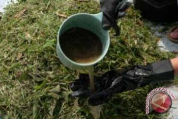 Dinas peternakan imbau peternak buat pakan alternatif 