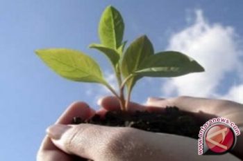 Pemkab Barito Utara Tanam 5.000 Bibit Pohon 
