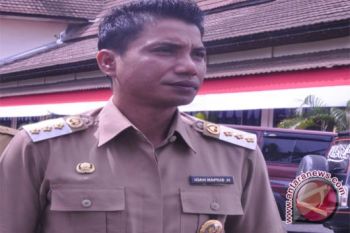 Bupati Kotim Ajak Masyarakat Budidaya Kayu Gaharu 
