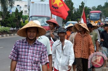 BPS: Daya beli petani Sumsel menurun