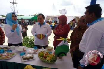 KKP Bantu Sulteng Mobil Alih Teknologi Ikan
