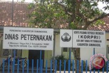 Disnak Gunung Kidul intensifkan pengawasan penjualan daging