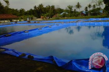 Petani ikan Bantul kembali bersemangat lakukan pembenihan 