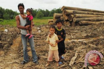 Balikpapan Forest Industries Tutup Mulai 26 Desember 