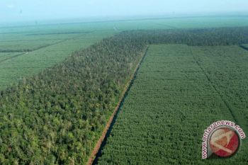Hutan Pendidikan Rakumpit Dijadikan Objek Ekowisata