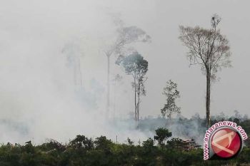 BMKG Ingatkan Kebakaran Lahan Rawan Tidak Terkendali 