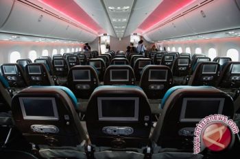 Boeing gunakan kentang untuk uji WiFi pesawat
