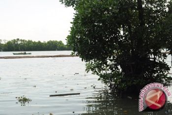 BLH Cek Ikan Mati Di Sungai Kapuas 