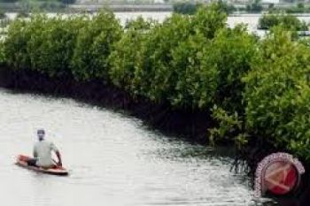 Moratorium Hutan Atasi Konflik Satwa Dilindungi