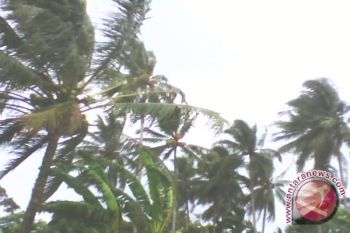 Angin kencang terjang 14 rumah lereng Merapi