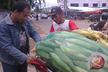 Penduduk Lampung diminta konsumsi makanan lokal 