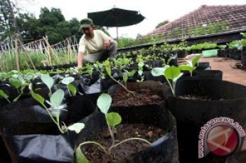 Indonesia Butuh Sejuta Hektare Lahan Tanaman Sayuran