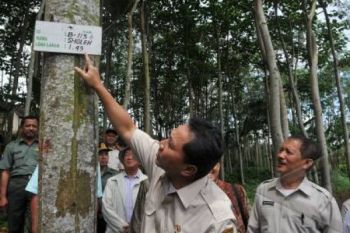Tiga Hutan Rakyat Lulus Serfifikasi Ekolabel