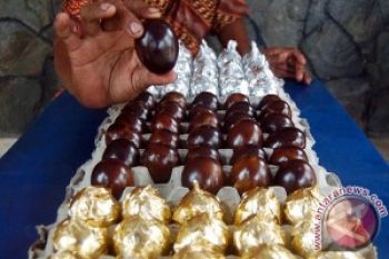Guru Besar IPB Temukan Telur Memproduksi Antibodi 