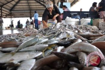 Pasokan Ikan Sulit