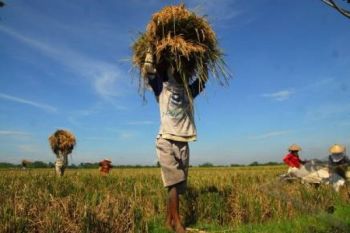 Penerima Dana LUEP Belum Kembalikan Pinjaman