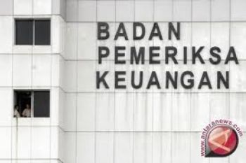 36 Pemda Sepakati Petunjuk Teknis Aplikasi E-Audit